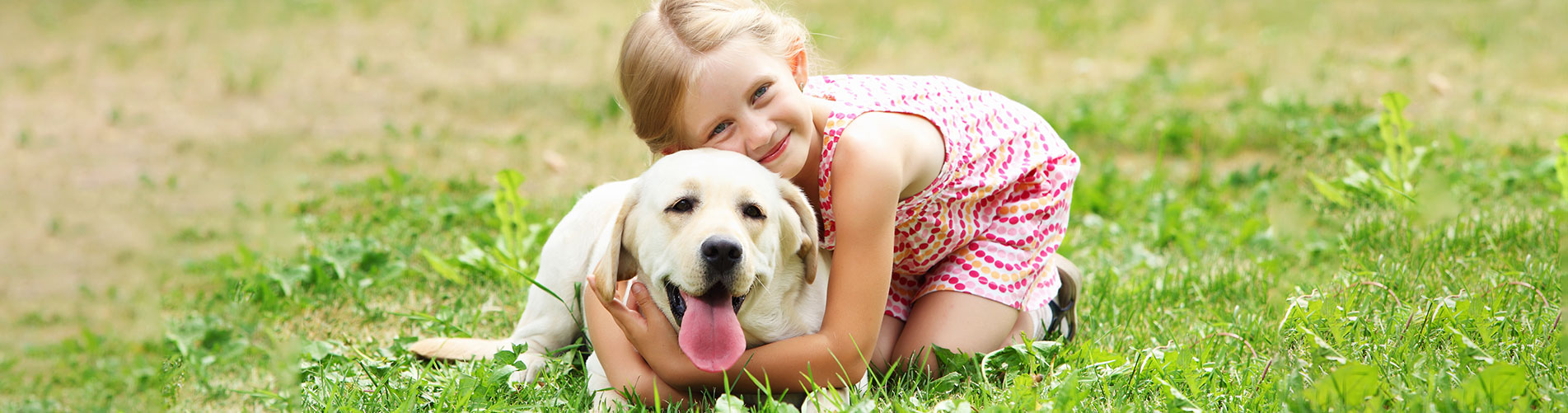 Versicherungen für Tiere: Damit auch der beste Freund des Menschen gut abgesichert ist