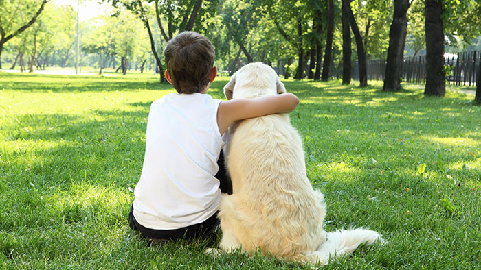 Versicherungen für Tiere: Damit auch der beste Freund des Menschen gut abgesichert ist | Krankenversicherungen für Tiere Versicherungen für Tiere: Damit auch der beste Freund des Menschen gut abgesichert ist | Krankenversicherungen für Tiere